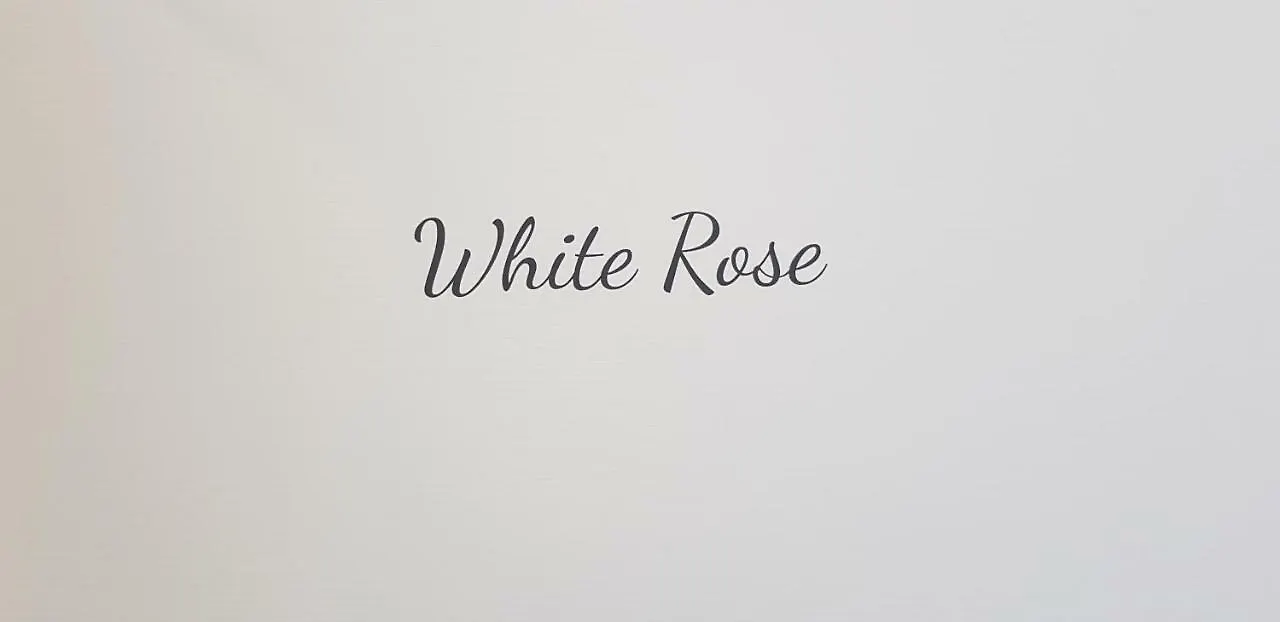 Little Rose Guest House Fiumicino